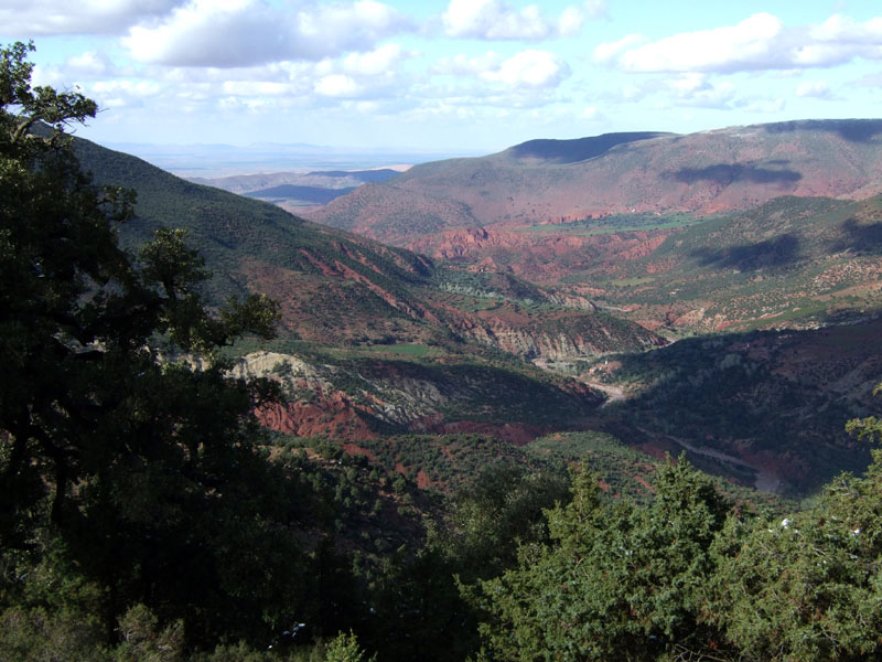 Day trip to Ourika valley