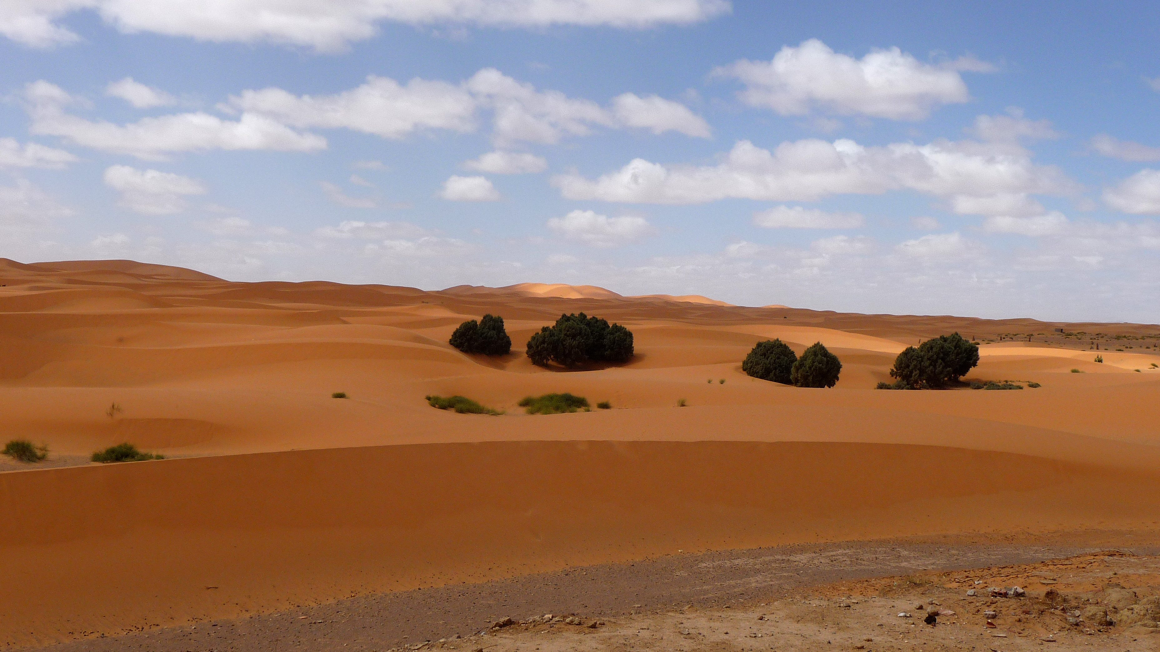 MARRAKECH TO MERZOUGA - 2 NIGHTS AND 3 DAYS TOUR TO THE GORGES DADES AND MERZOUGA DESERT 